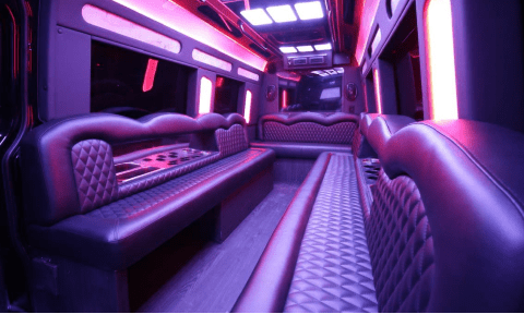 Lehigh Acres 14 Passenger Sprinter Bus Interior
