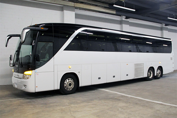 Naples 36 Passenger Party Bus