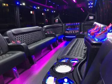 15 Passenger Party Bus interior